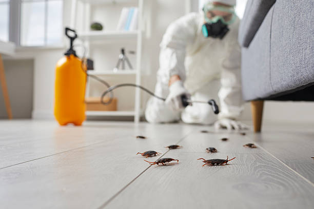 Commercial Rodent Management in Fort Worth